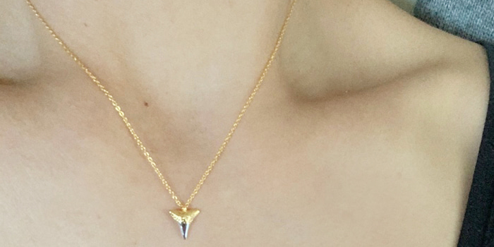Silver Horn Necklace [Good Choice!!]